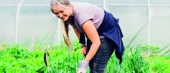 Ask the Expert – Building and Sustaining Kitchen Gardens in Schools