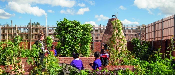 Inspiring a Movement: Establishing Your Own Food Education Hub