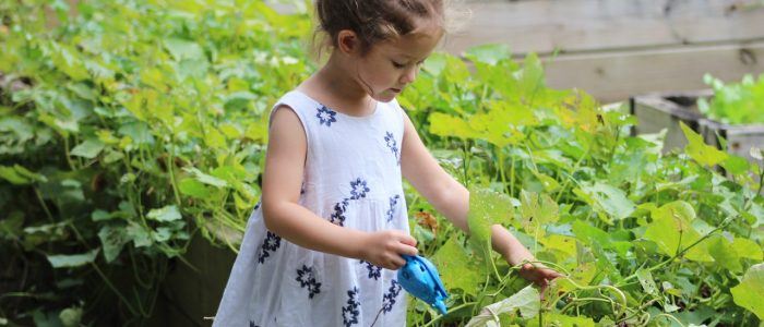 Enhancing the School Curriculum Through Food